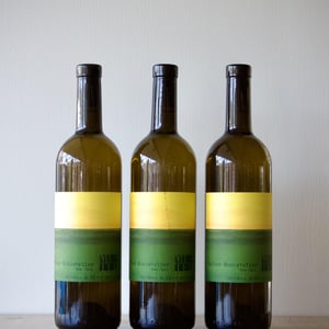 Gelber Muskateller vom Opok - Weingut Muster - maria-sepp-muster