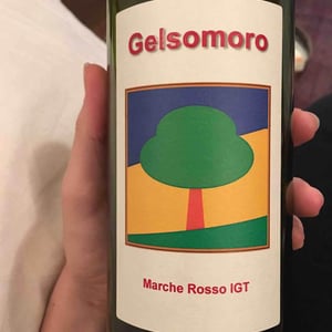 Gelsomoro Rosso - Azienda Agricola Il Gelso Moro - Silvia Giorgetti 