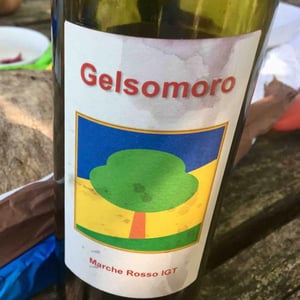 Gelsomoro 2014