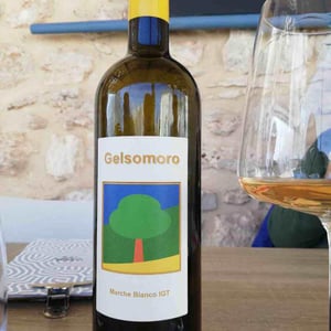 Gelsomoro Bianco 2018 - Azienda Agricola Il Gelso Moro - Silvia Giorgetti -2019