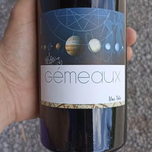 Gémeaux - Mas Theo - laurent-clapier