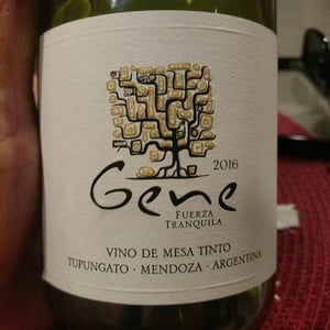 Gene Del Alma - Michelini i Mufatto - andrea-mufatto-gerardo-manuel-michelini
