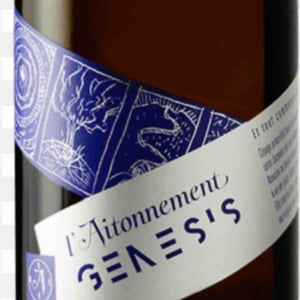 Genesis - L'aitonnement - Maxime Dancoine 