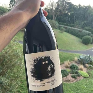 Domaine Etienne Seignovert - Etienne Seignovert - Gentil Monstre