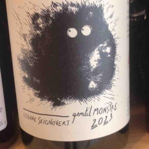 Gentil Monstre - Domaine Etienne Seignovert - etienne-seignovert