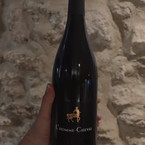 L'Homme-Cheval - Le Gentilhomme - Domaine Léandre-Chevalier - DLC - L'Homme-Cheval - dominique-leandre-chevalier-reto-erdin