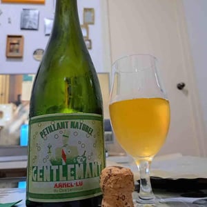 Gentelmant Xarel.lo - Clos Lentiscus - Manel Aviñó 