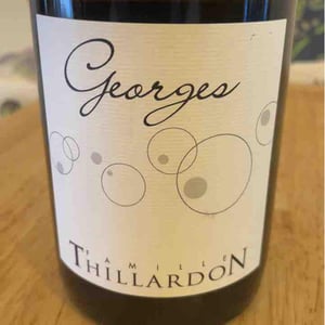 Georges - Domaine Thillardon - aude-jean-baptiste-charles-et-paul-henri-thillardon -2020