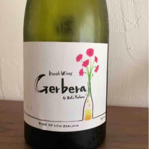 Gerbera - Kunoh Wines - yuki-nakano