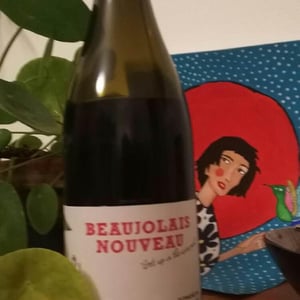 Beaujolais Get Up In The Wine Pool - Domaine de La Grosse Pierre - Pauline Passot 