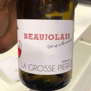 Beaujolais Get Up In The Wine Pool - Domaine de La Grosse Pierre - Pauline Passot 