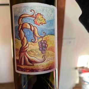 Le fole - Cantina Giardino - antonio-di-gruttola-daniela-de-gruttola -2022
