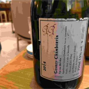 Gevrey-Chambertin 1er Cru Bel-Air 14