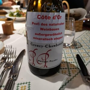 Gevrey-Chambertin - Philippe Pacalet - monica-et-philippe-pacalet