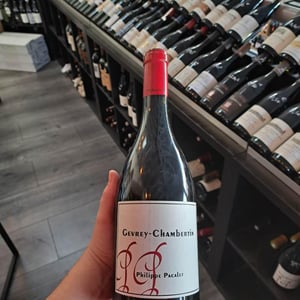 Gevrey-Chambertin - Philippe Pacalet - monica-et-philippe-pacalet