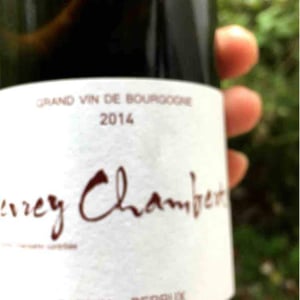 Gevrey Chambertin - Sarnin-Berrux - jean-pascal-sarnin-jean-marie-berrux