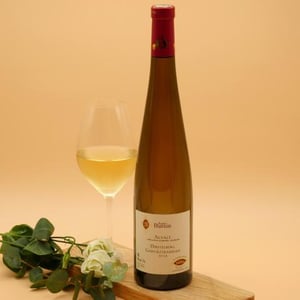 Gewurtztraminer Dirstelberg - Agathe Bursin - agathe-bursin