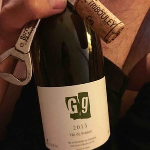 Gg - Tribouley - jean-louis-tribouley