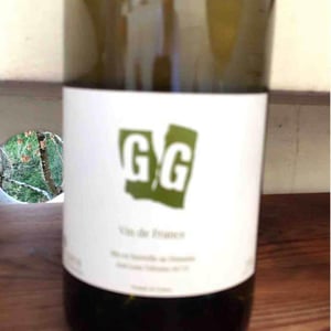 Tribouley - Jean-Louis Tribouley - Gg