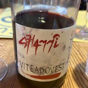 Ghammi - Viteadovest - vincenzo-angileri-qu