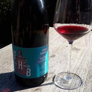 Ghb Pour Pecho - Domaine de la Cras - Marc Soyard 