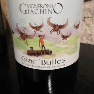 Giac' Bulles - Domaine Giachino - frederic-david-clement-giachino