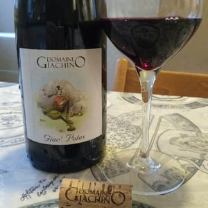Giac' Potes - Domaine Giachino - frederic-david-clement-giachino