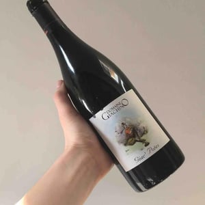 Domaine Giachino - Frédéric, David & Clément Giachino - Giac' Potes