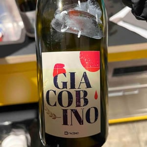 Giacobino - L'Acino - Dino Briglio Nigro -2017