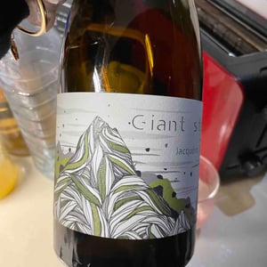 Giant Step 2021 - Domaine Ludovic Archer - ludovic-archer