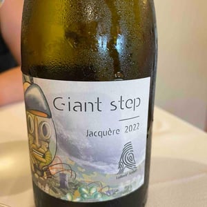Giant Step - Domaine Ludovic Archer - Ludovic Archer 