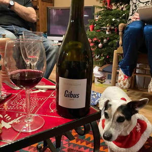 Gibus - Château Barouillet - Vincent Alexis -2019