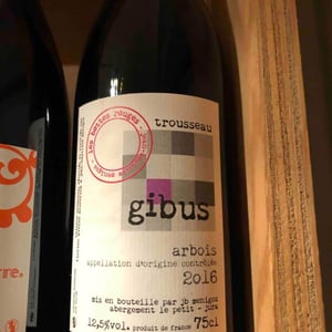 Gibus 2016