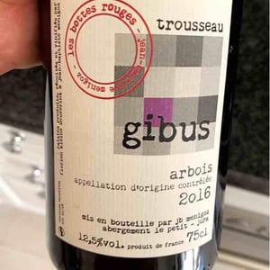 Gibus