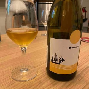L'Acino - Dino Briglio Nigro - Giramondo