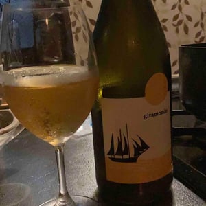 L'Acino - Dino Briglio Nigro - Giramondo