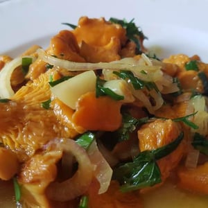 Girolles Du Morvan En Persillade - Aymé Vadim - 510494