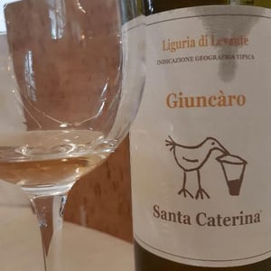 Santa Caterina - Andrea Kihlgren - Giuncàro