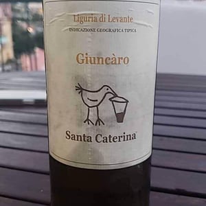 Santa Caterina - Andrea Kihlgren - Giuncàro