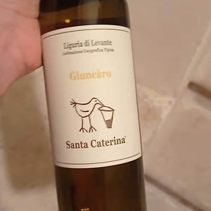 Giuncàro - Santa Caterina - andrea-kihlgren