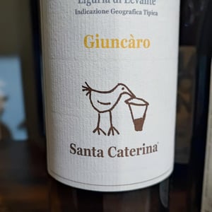 Giuncàro - Santa Caterina - Andrea Kihlgren 