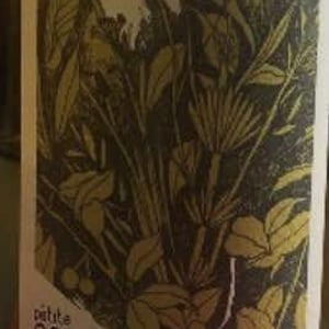 Globule Blanc - Domaine de la Petite Soeur - Adrien de Mello 
