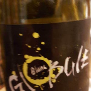 Domaine de la Petite Soeur - Adrien de Mello - Globule Blanc