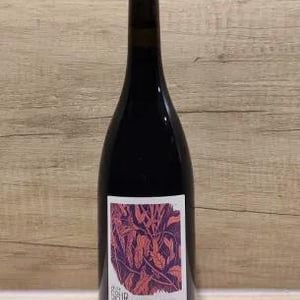 Globule Rouge - Domaine de la Petite Soeur - adrien-de-mello -2019