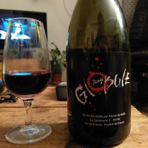 Globule Rouge - Domaine de la Petite Soeur - Adrien de Mello -2019