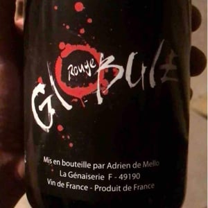 Domaine de la Petite Soeur - Adrien de Mello - Globule Rouge