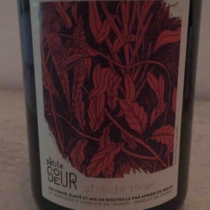 Domaine de la Petite Soeur - Adrien de Mello - Globule Rouge