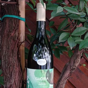 Gloria - Domaine de Montcy - vincent-hayer