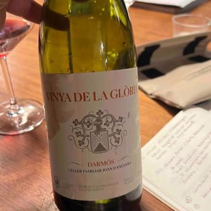 Vinya De La Gloria - Cellers Joan d'Anguera - joan-josep-danguera -2016
