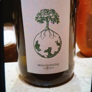 Glück - Weingut Werlitsch - Ewald & Brigitte Tscheppe 